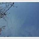 [백석]수채화 Daum카페