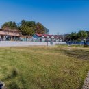 꽃길만걷개 이미지