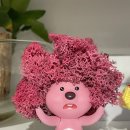 (주)힐링파마 이미지