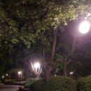 광명로 264번길 이미지