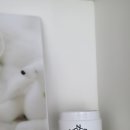 보니더펫 이미지