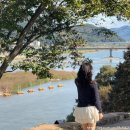 공산성 주차장 화장실 | 충남 공주 가볼만한곳 추천 공산성 입장료 주차 꿀팁