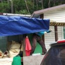 소쿠리농장 이미지