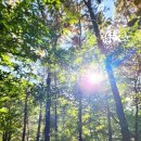 달맞이로71 이미지