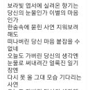 보랏빛 엽서 이미지