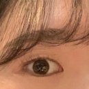 럽브로우 이미지