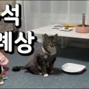 어떤 고양이 유튜버의 추석 차례상 이미지