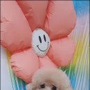 멍했냥 평택본점 이미지