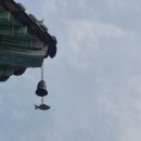 박남재농장 이미지