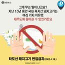 웰컴투제주