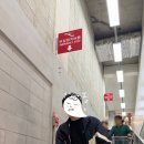 골든필드코리아(주) | 코스트코 일산점 주차, 영업시간, 휴무일 총정리! 붐비지 않는 '골든타임' 방문 후기 ⏱️