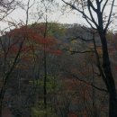 방태산의 가을,자연휴양림에 홀리다 이미지