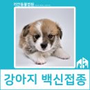 리안 동물병원 이미지