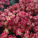 하나농장 이미지