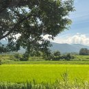 온동농장 이미지