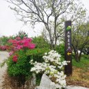 도랑골손맛