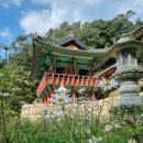 장곡사 | 청양 사찰 장곡사 칠갑산 힐링여행코스