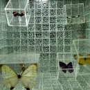 제주리움 이미지