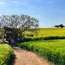 해식 농장 이미지