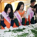 메아리연주단 이미지