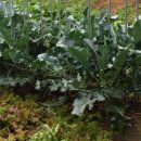 윤우농장 이미지