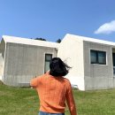 발리 | 제주 여행 | 친구들과 다녀온 제주도 3박4일bb