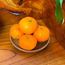 천해농장 이미지