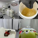 루아슈가링왁싱 | [글루아] 의정부왁싱 잘하는 곳 슈가링으로 저자극 저통증으로 브라질리언 받은 후기 임산부왁싱 가능