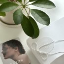 워시룸 | [키노히] KINOHI 제주 편백 핸드워시 &amp; 룸스프레이 후기 및 집들이선물 생일선물 추천
