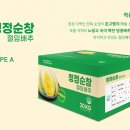 청정절임 티스토리