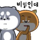 맘모스２５시마트