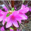 풍각중학교 이미지