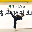 한국체대송무태권도장