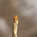 서리풀공원1-22 이미지