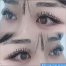 신논현 속눈썹 하니뷰 이미지