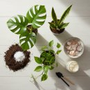 (봄맞이) 홈가드닝 이미지