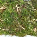 학선농장 이미지