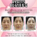 미미팰리스