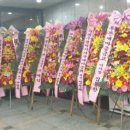 남양유업금당가정대리점