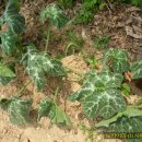 곡리농장 이미지