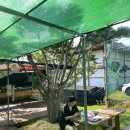 지리산안길펜션 이미지