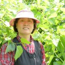 설산농장2 이미지