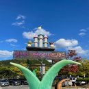 무주반디유치원 | 대전/충남 근처 아이와 가볼 만한 곳 :) 무주 반디랜드 방문 후기