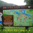 대장금마실길(3코스) 이미지