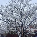 복희쌀롱 이미지