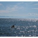 라온 하제 이미지