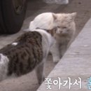 알로찬농장 이미지