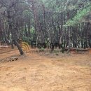 월성공원 이미지