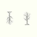 생활원예관리사 이미지