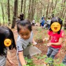 도담소리숲 유치원 이미지